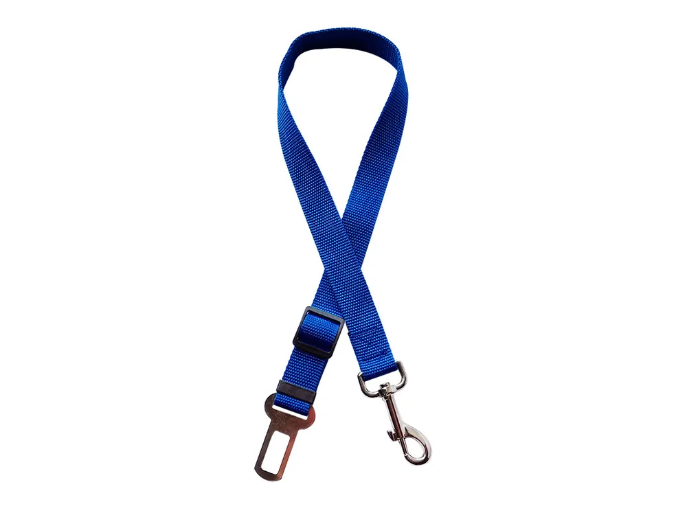 Blue car tether with a padded loop and a seat belt tongue, laid flat