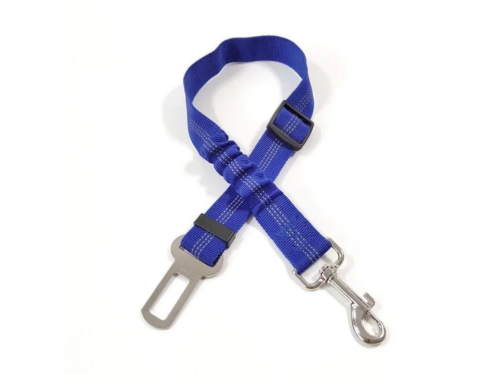 Blue elastic car tether with reflective stitching and a seat belt tongue, laid flat