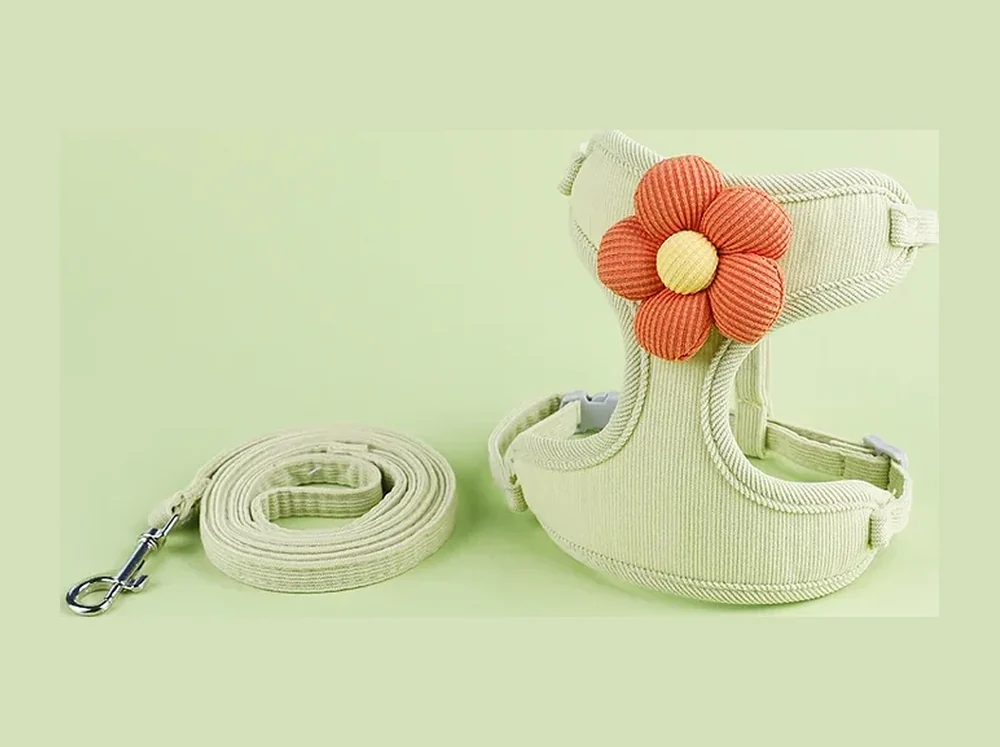 Sage corduroy harness with an orange flower on the chest and a matching leash, laid flat
