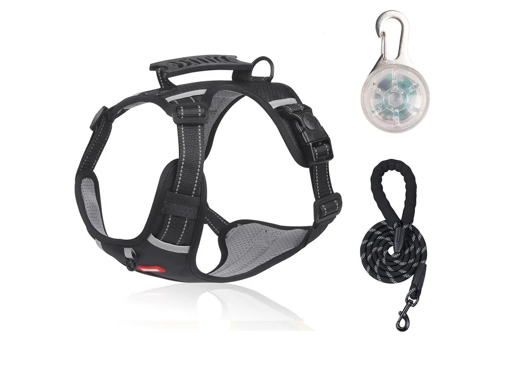 Black harness with a moulded grip handle, a leash and a clip-on light, laid flat
