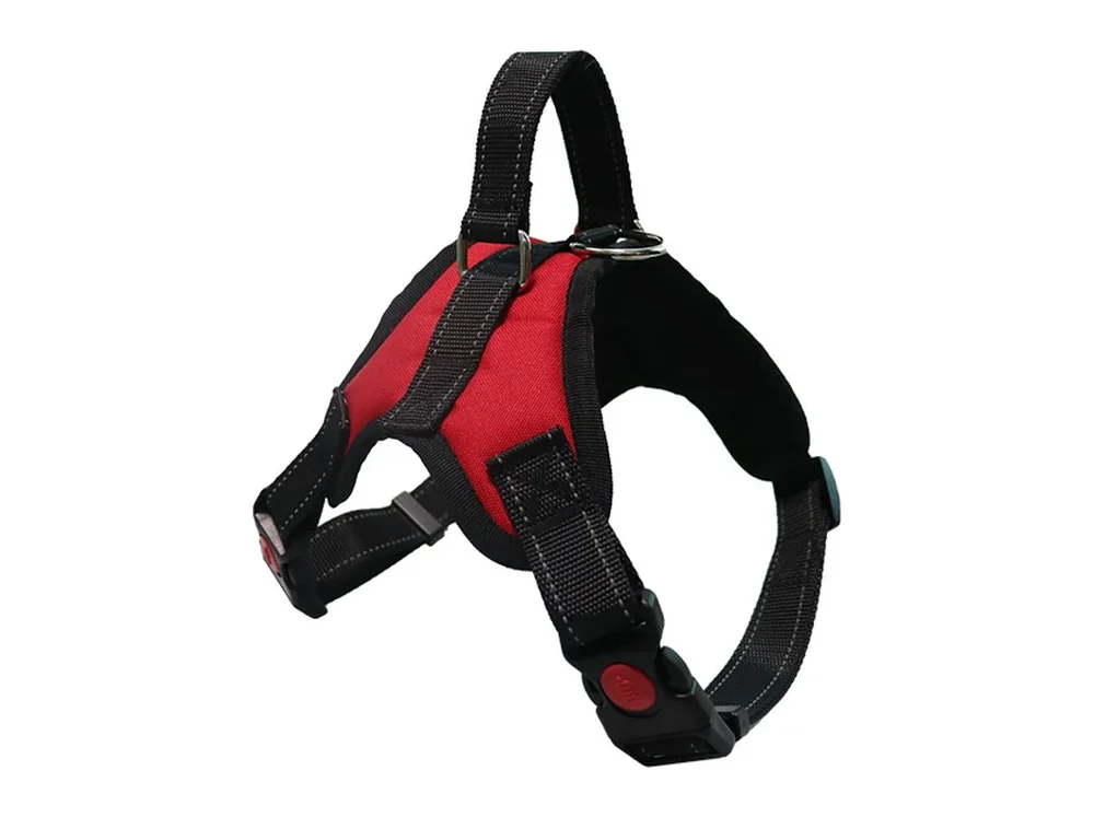 Red and black saddle harness with a padded chest panel and a side buckle, laid flat