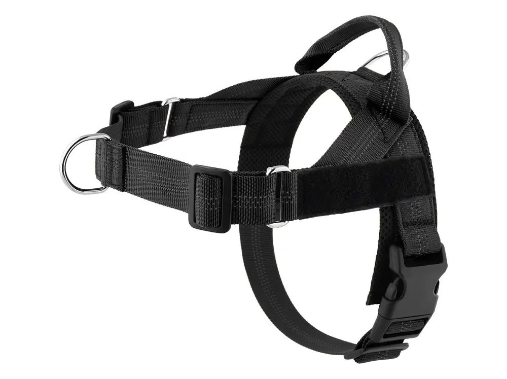 Black reflective harness with padded chest panel and two metal rings, laid flat
