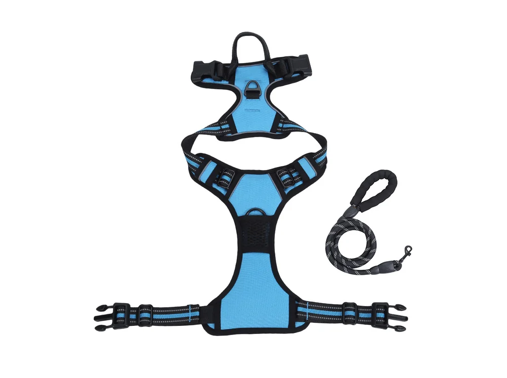 Blue saddle-style tactical harness with a grab handle and a matching leash, laid flat