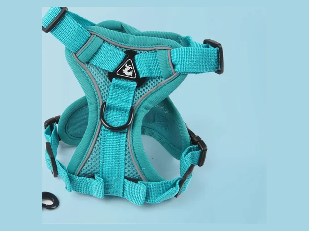 Lake blue mesh step-in harness with reflective strips and a matching leash, laid flat