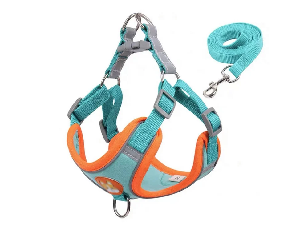 Blue suede-feel step-in harness with a matching leash, laid flat
