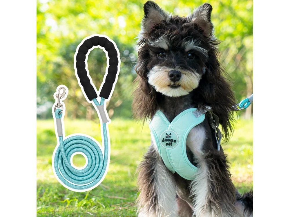 Mint green X-shaped harness with a padded rope leash, laid flat