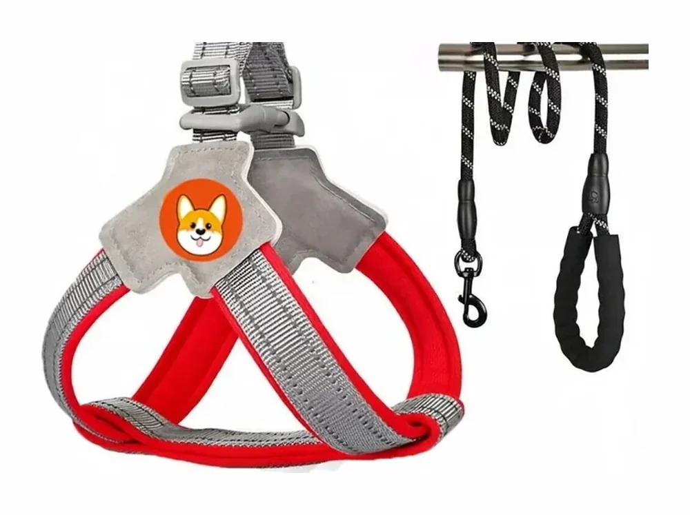 Red Y-shaped step-in harness with a 2 m reflective rope leash, laid flat